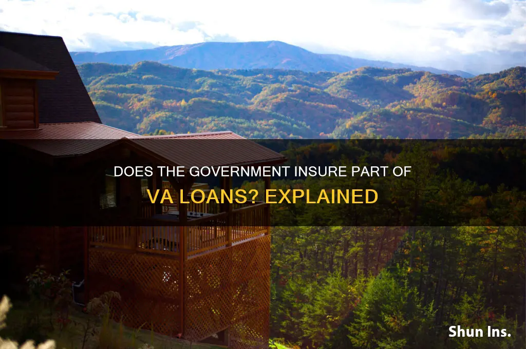 does the government insure part of va loans