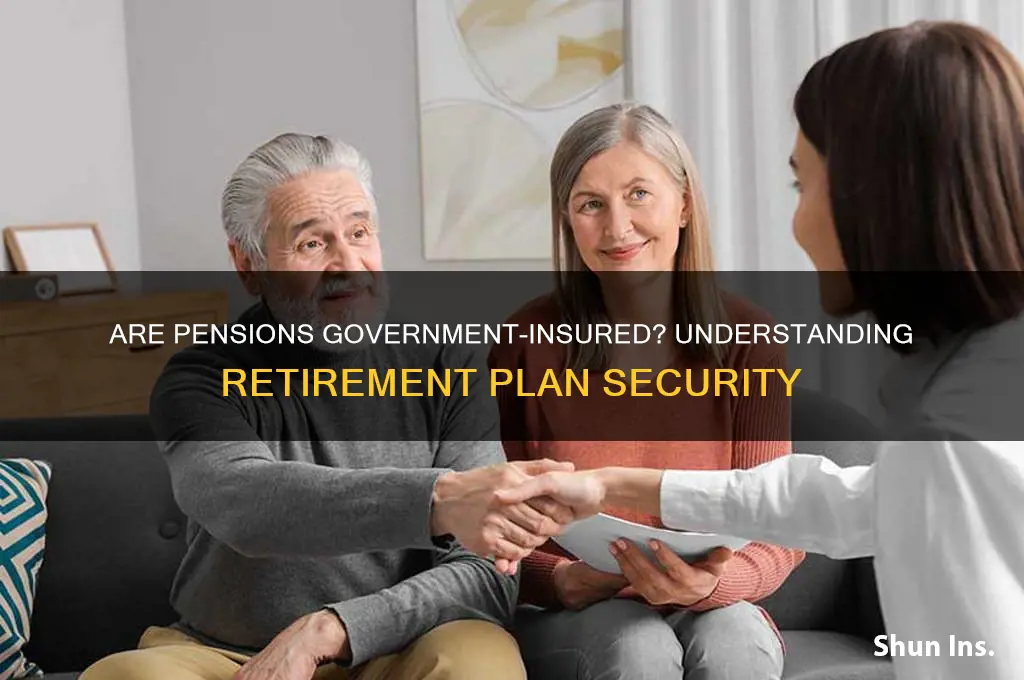 does the government insure pensions