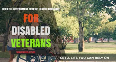 Health Insurance for Disabled Veterans: Government Coverage Explained