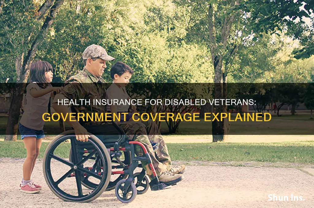 does the government provide health insurance for disabled veterans