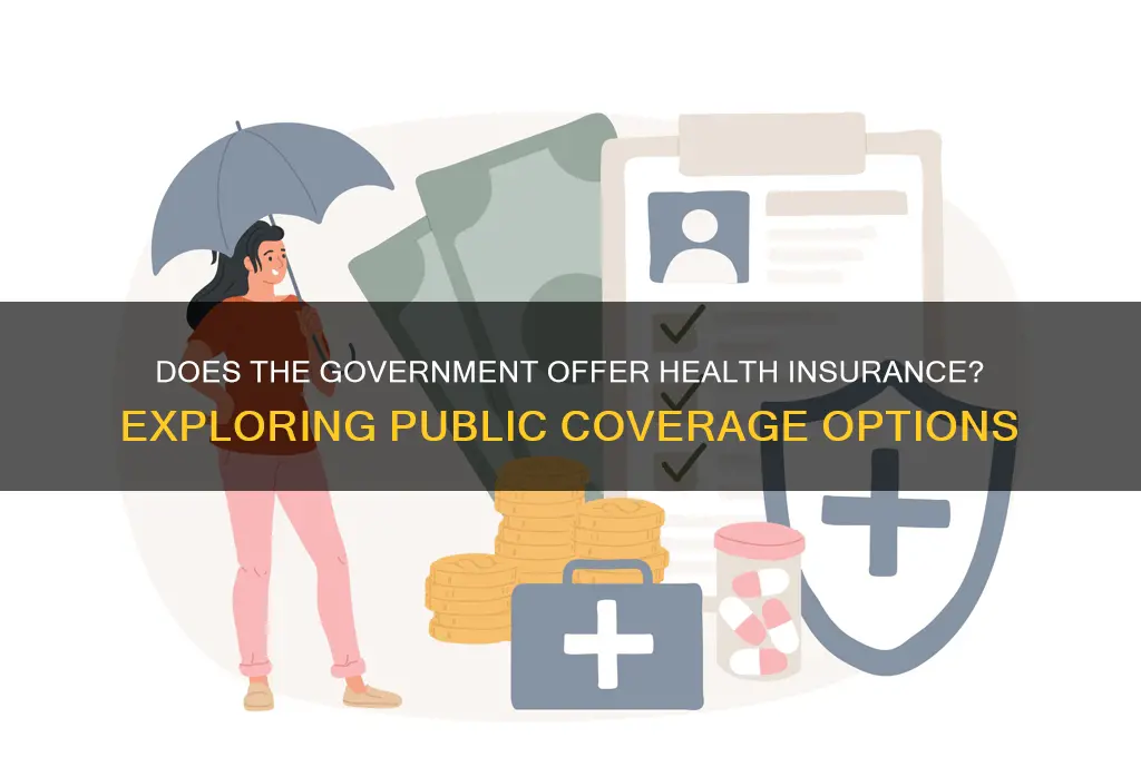 does the government provide health insurance