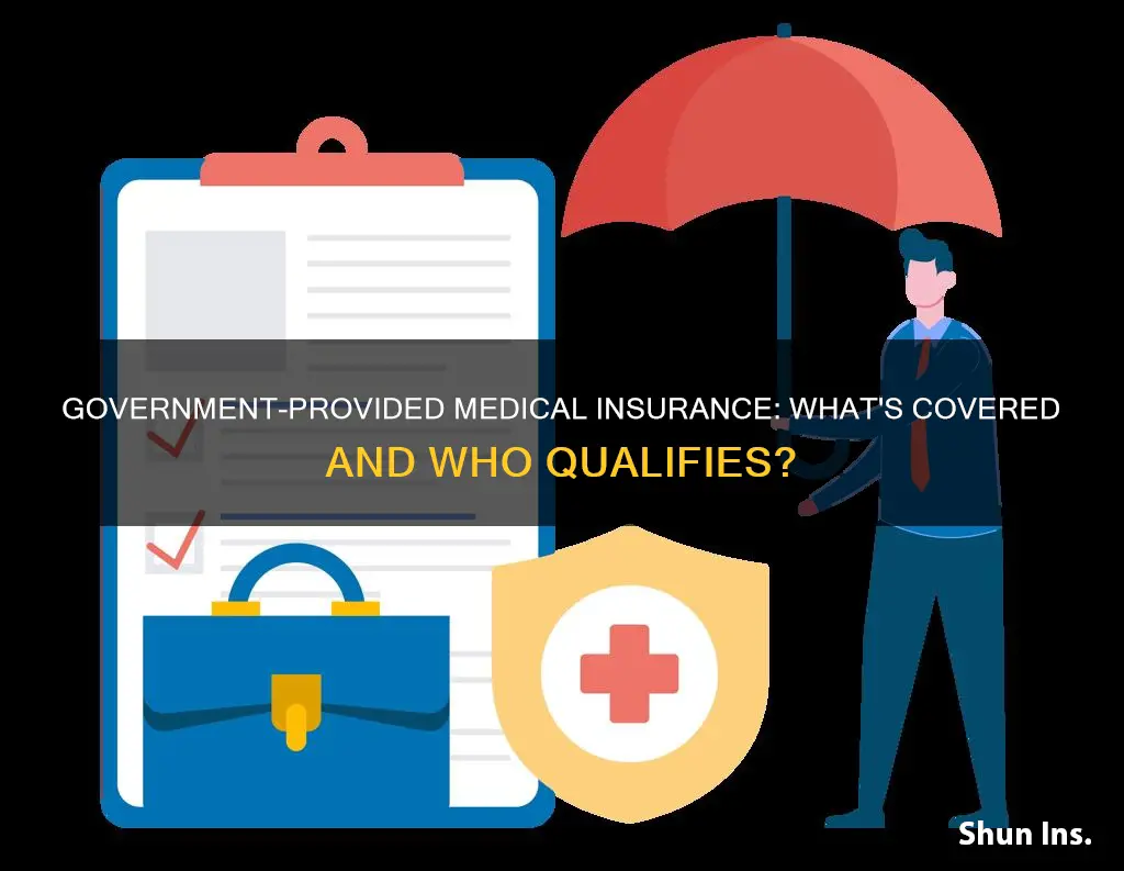 does the government provide medical insurance