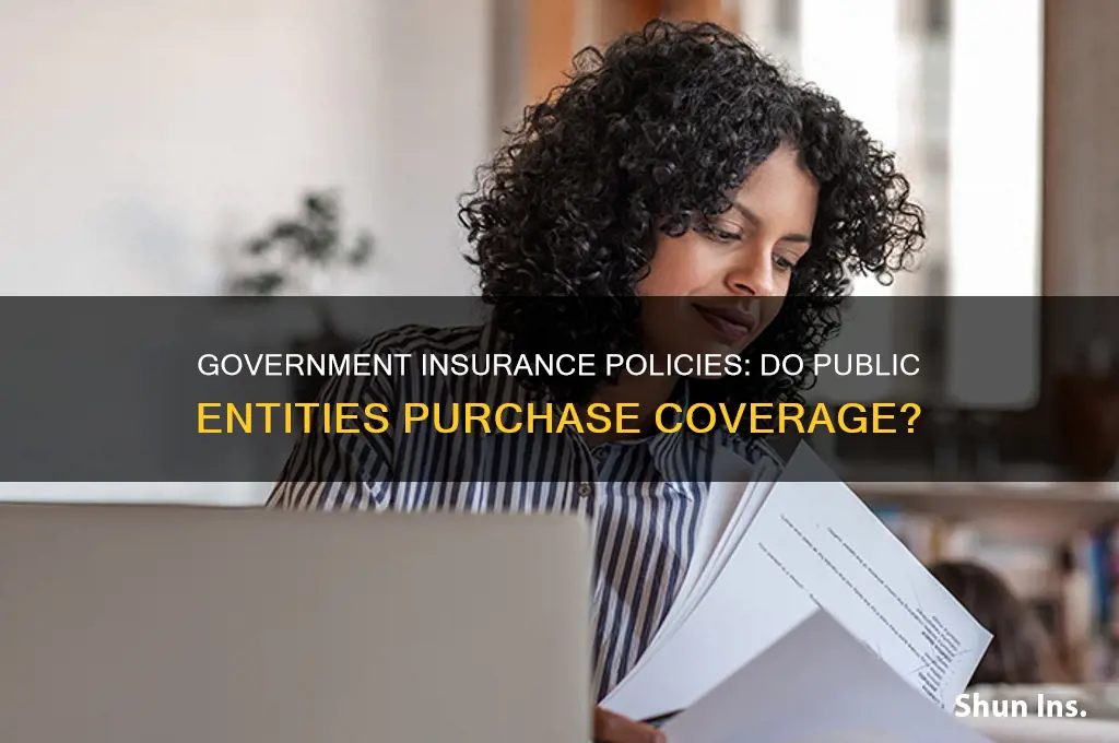 does the government purchase insurance