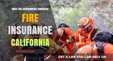 California Fire Insurance Subsidies: Government Support Explained