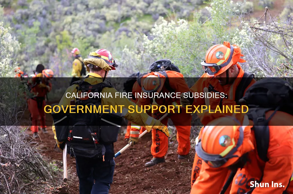does the government subsidize fire insurance california