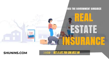 Government Subsidies for Real Estate Insurance: Fact or Fiction?