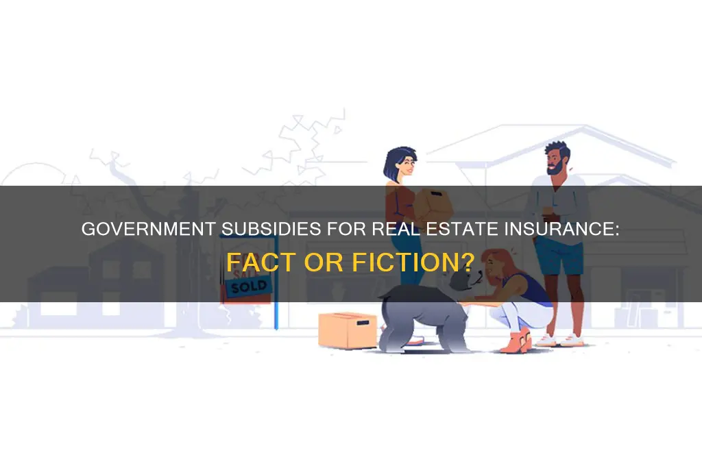 does the government subsidize real estate insurance