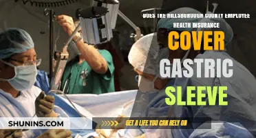 Hillsborough County Employee Health Insurance: Gastric Sleeve Coverage Explained