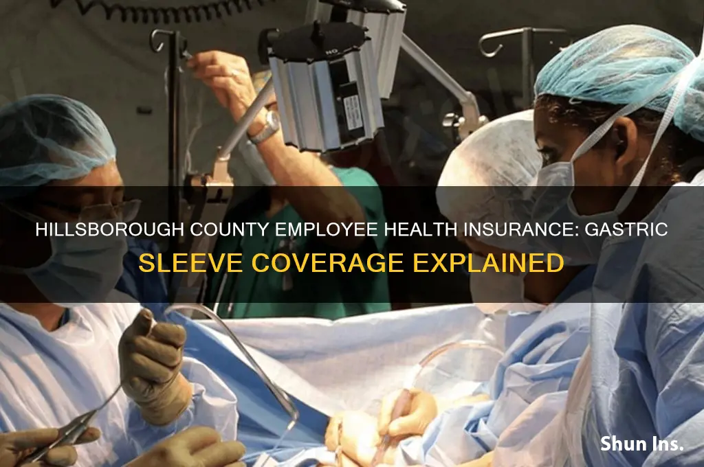 does the hillsborough county employee health insurance cover gastric sleeve
