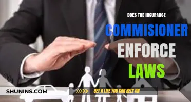 Insurance Commissioner's Role: Enforcing Laws or Overseeing Compliance?