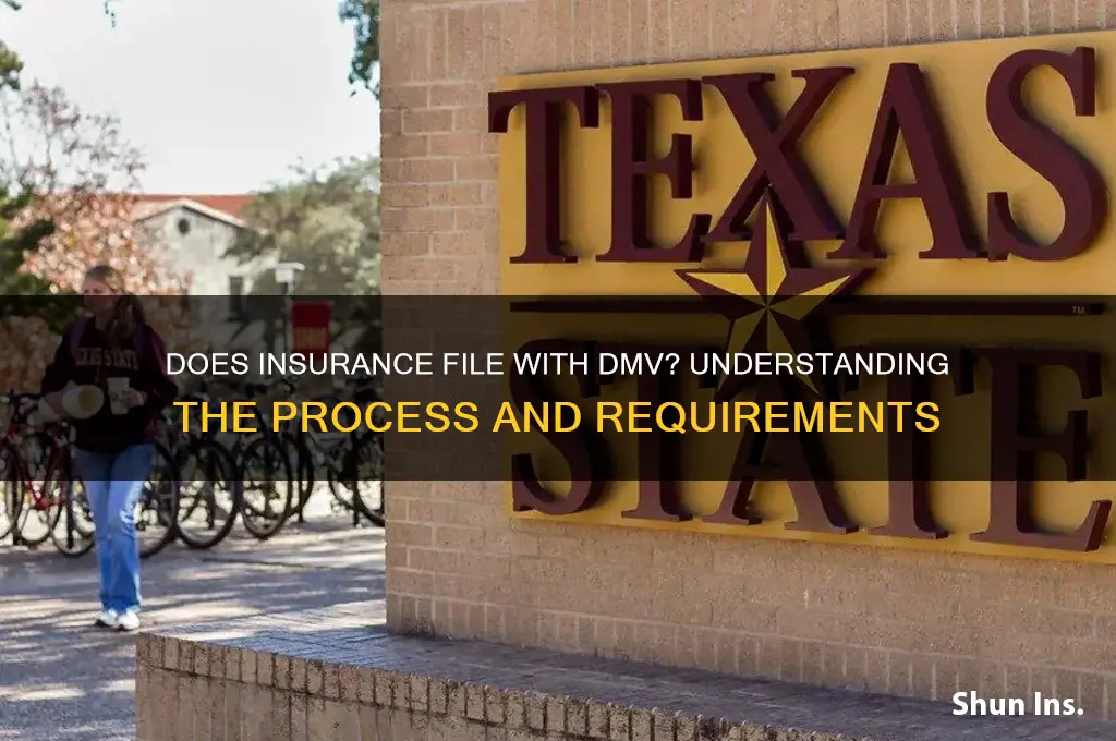 does the insurance file with the dmv