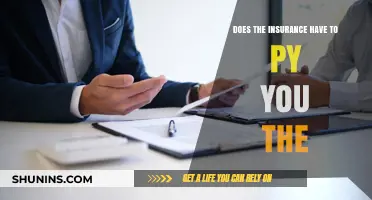 Does Insurance Owe You? Understanding Payouts and Your Rights