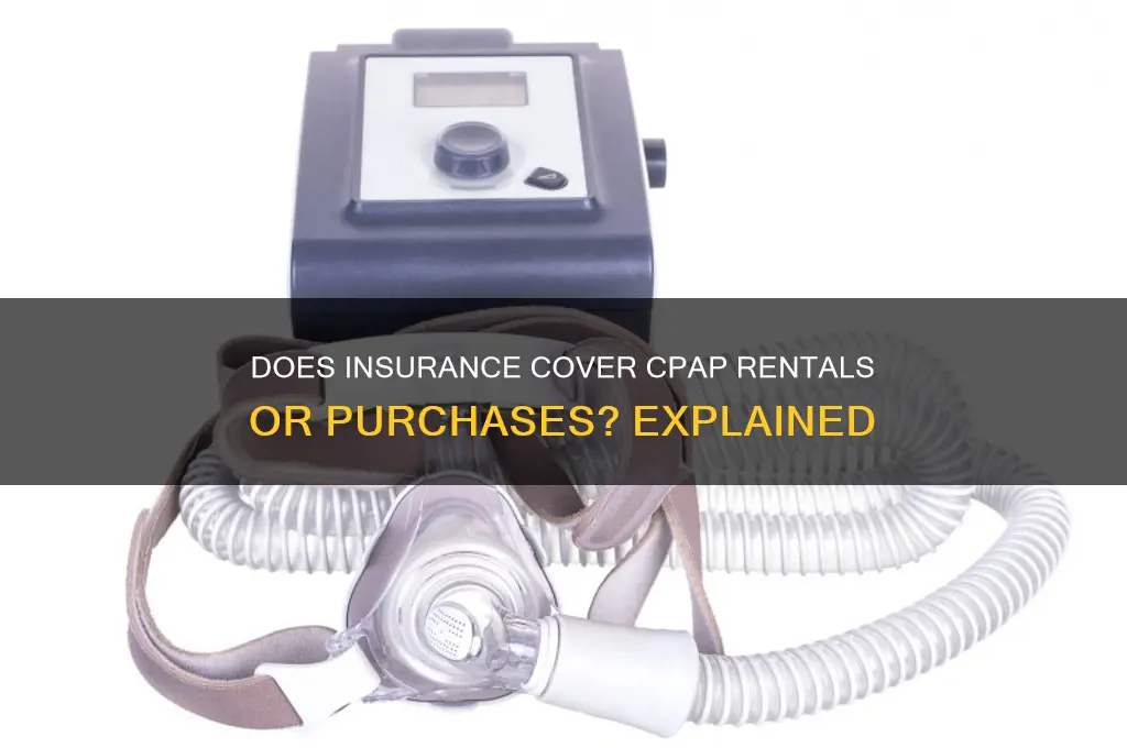 does the insurance just rent cpap