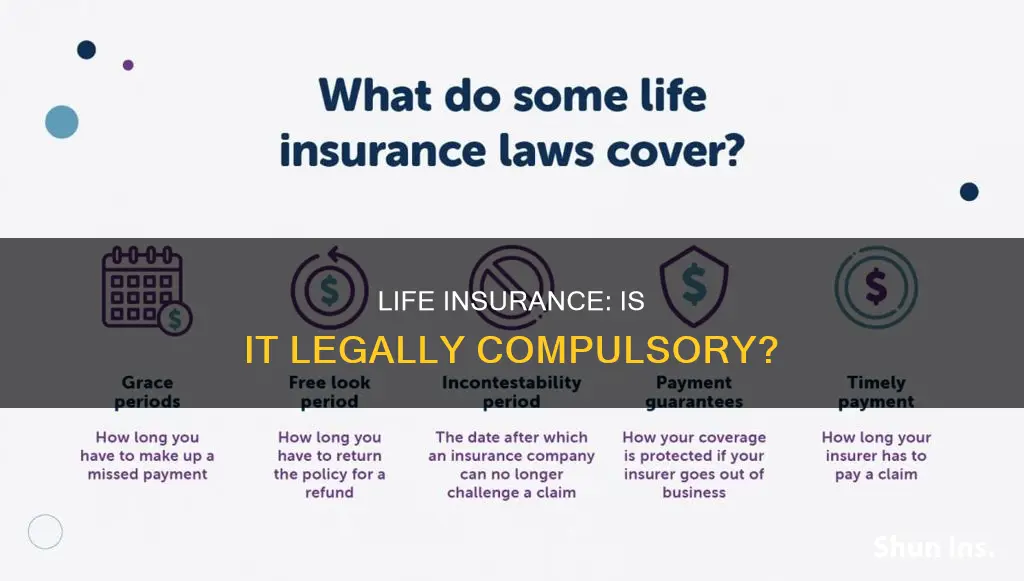 does the law require you to have life insurance