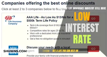 Life Insurance Industry: Low Interest Rates Forever?