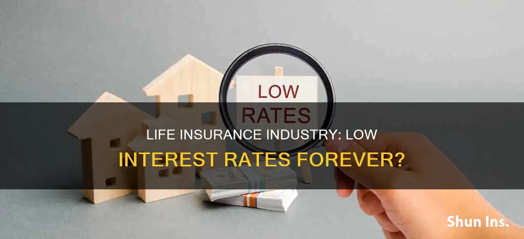 does the life insurance industry still have low interest rate