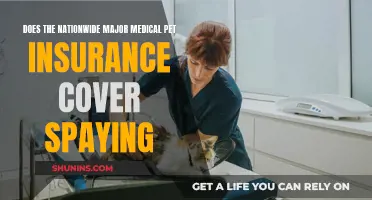 Major Medical Pet Insurance: Spaying Coverage and Care