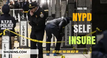 Does the NYPD Self-Insure? Uncovering the Department's Insurance Practices