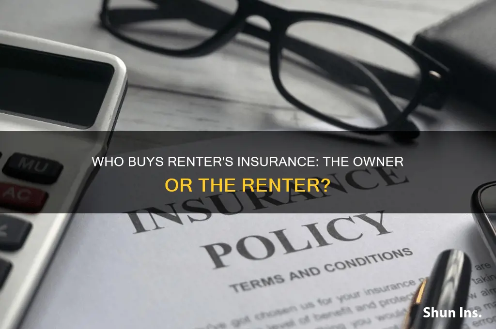 does the owner or the renter purchase renter
