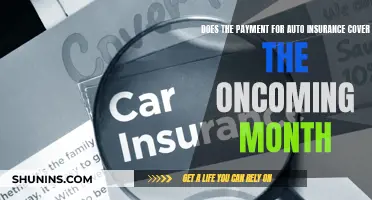 Auto Insurance Payments: Covering the Oncoming Month and Beyond