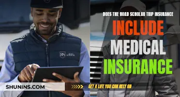 Road Scholar Trip Insurance: Medical Coverage Included?