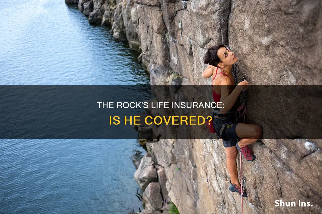 does the rock have life insurance