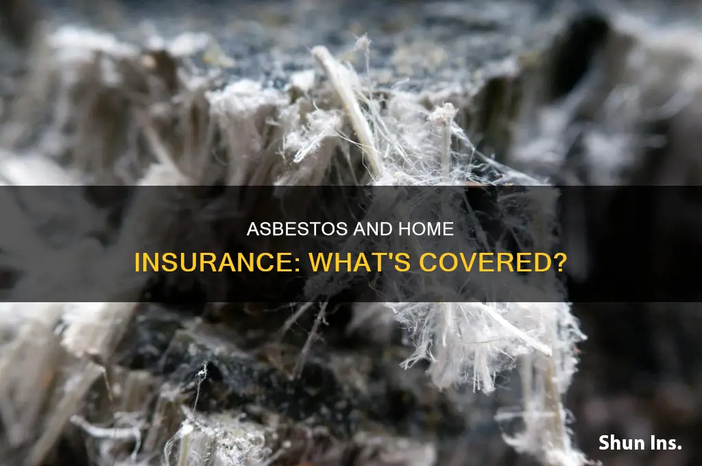does the standard homeowners insurance cover asbestos