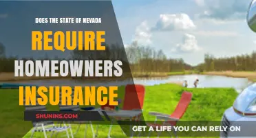 Homeowners Insurance: Is It Mandatory in Nevada?