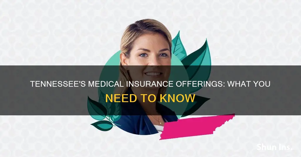 does the state of tn offer medical insurance