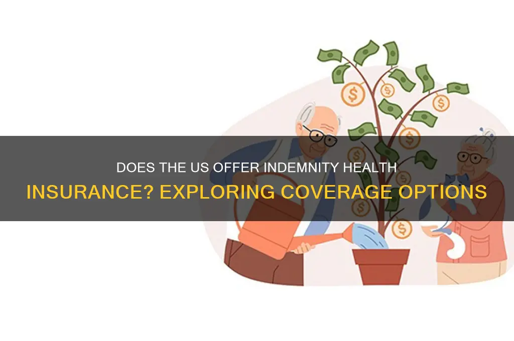 does the us have indemnity health insurance