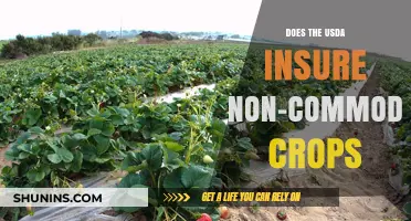 USDA Insurance Coverage for Non-Commodity Crops: What You Need to Know