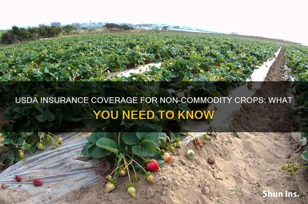 does the usda insure non-commodity crops