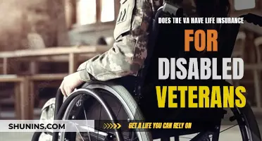 Life Insurance for Disabled Veterans: What the VA Offers