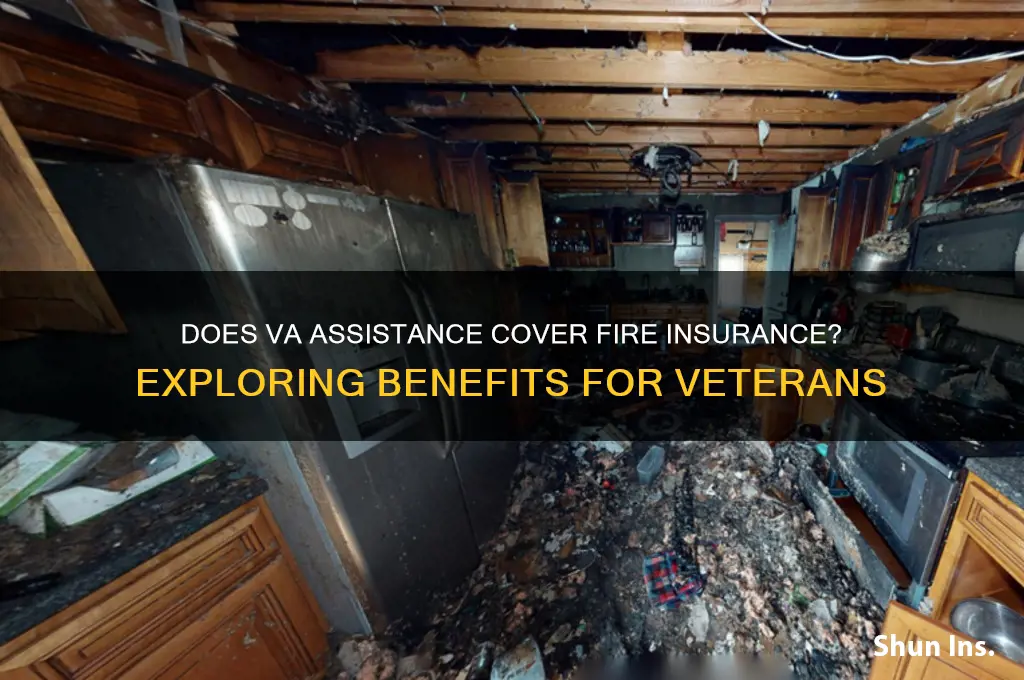 does the va help with fire insurance
