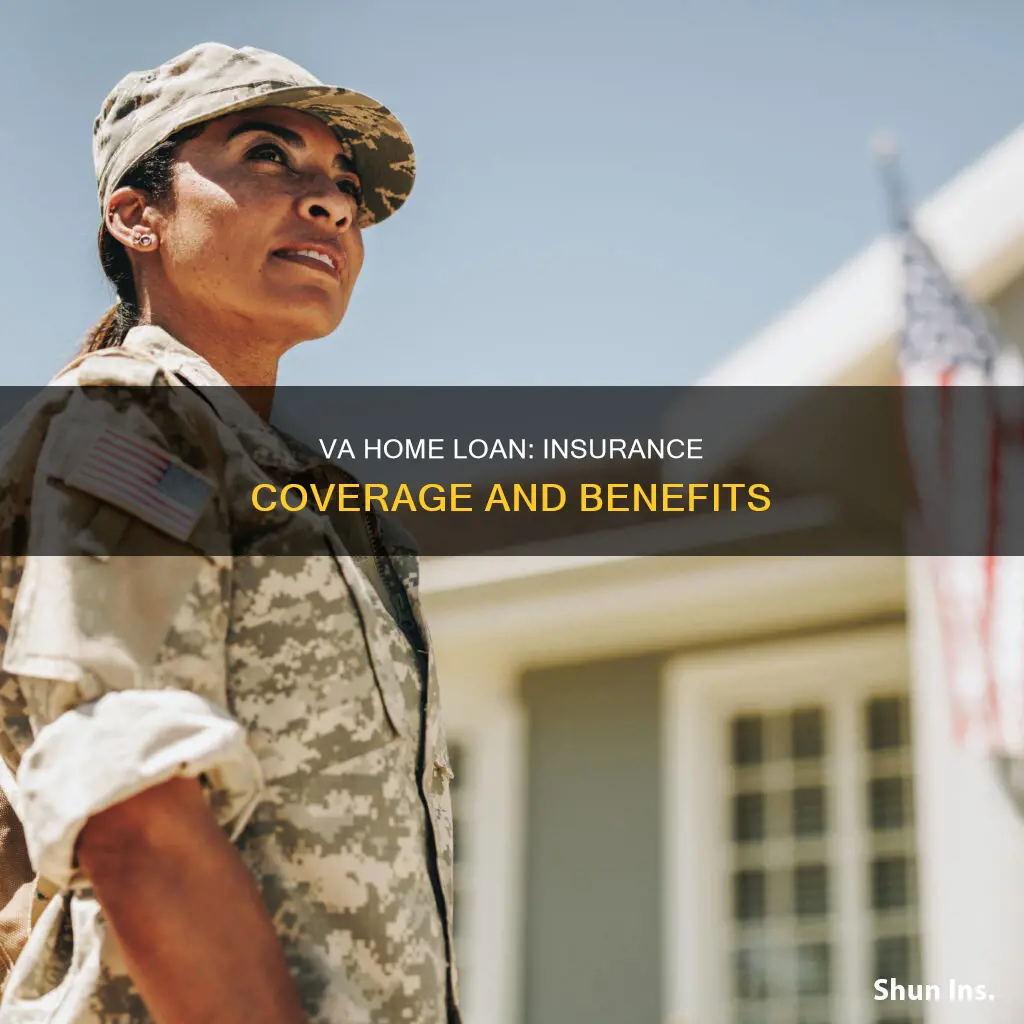does the va offer homeowners insurance