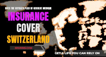 Voyager Plan: Switzerland Coverage with GeoBlue Medical Insurance