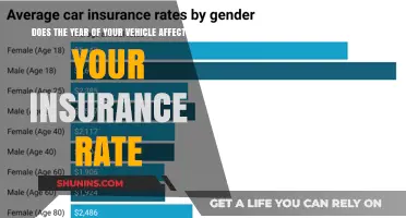 Vehicle Age: A Factor in Insurance Rate Calculation