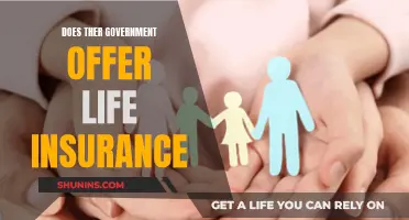 Life Insurance: Government-Backed or Private Sector?