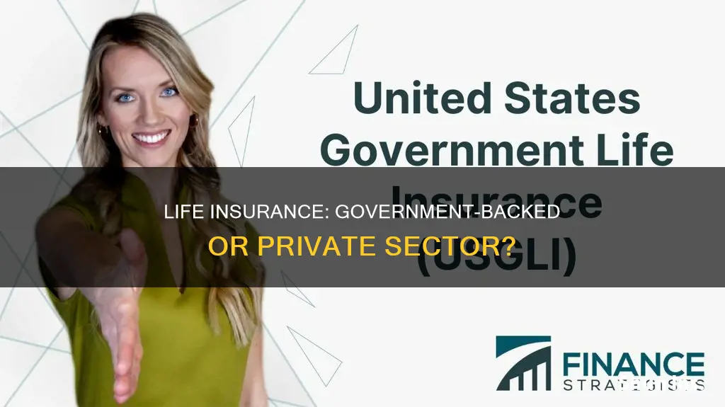 does ther government offer life insurance