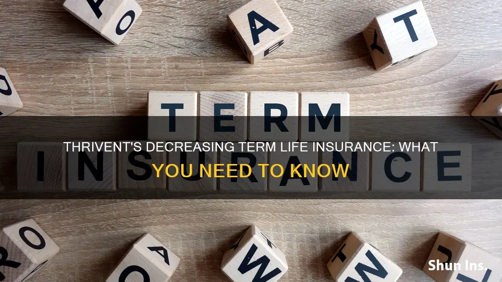 does thrivant offer decreasing term life insurance