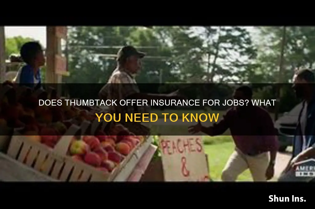 does thumbtack insurance jobs