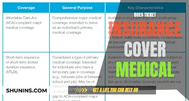 Ticket Insurance: Medical Coverage and Your Options