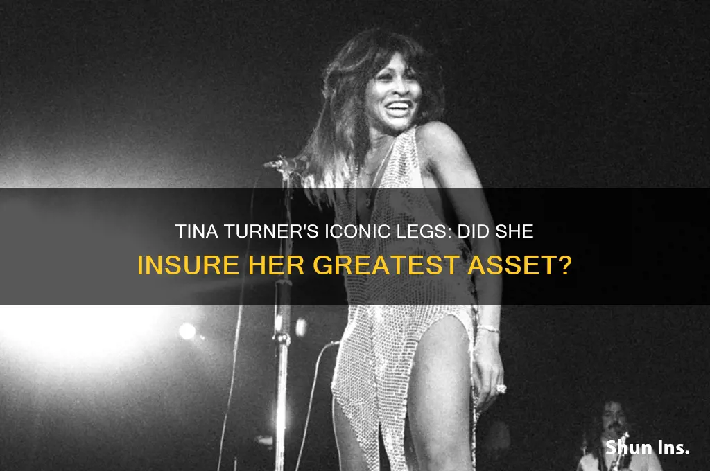 does tina turner have insurance on her legs