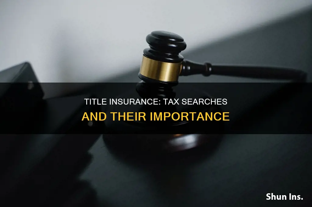 does title insurance search check taxes