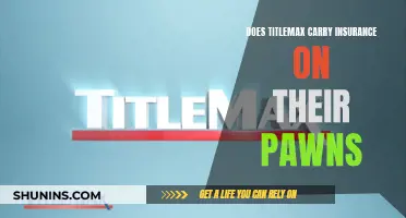 TitleMax: Pawn Insurance?