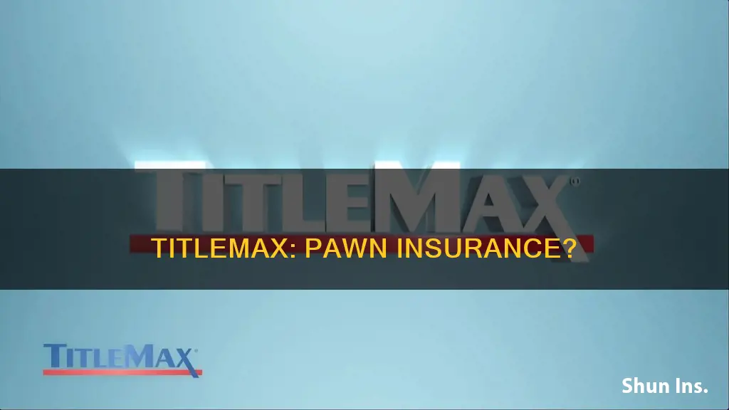 does titlemax carry insurance on their pawns