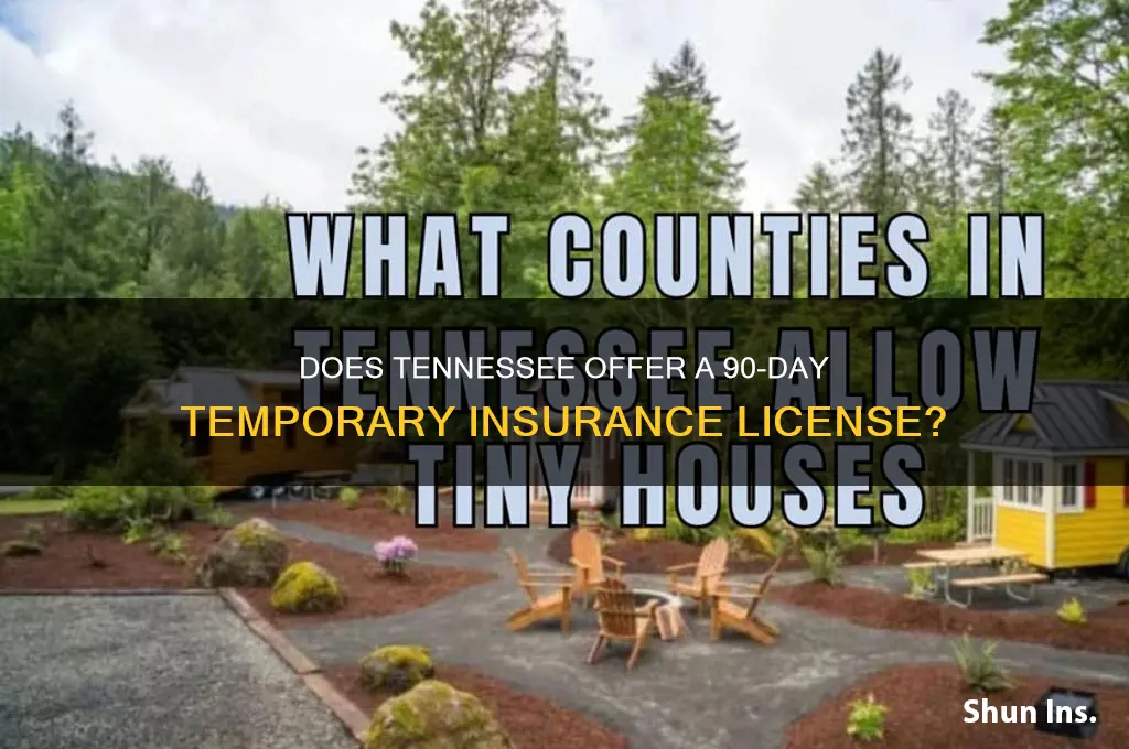 does tn have insurance 90 temp licnese