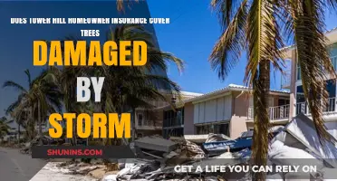 Homeowner Insurance: Storm-Damaged Trees Covered by Tower Hill?