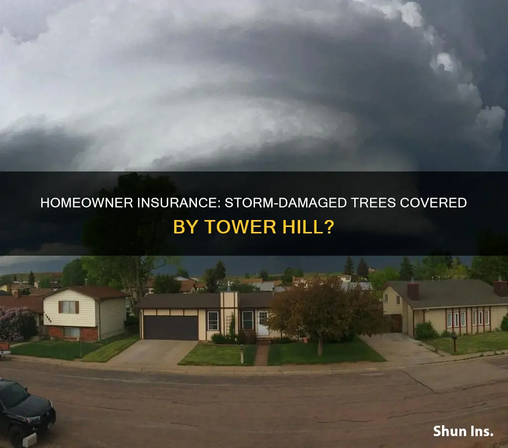 does tower hill homeowner insurance cover trees damaged by storm