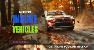 Toyota: Insuring Your Vehicle